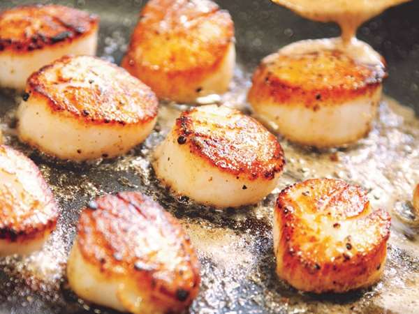 seared scallops